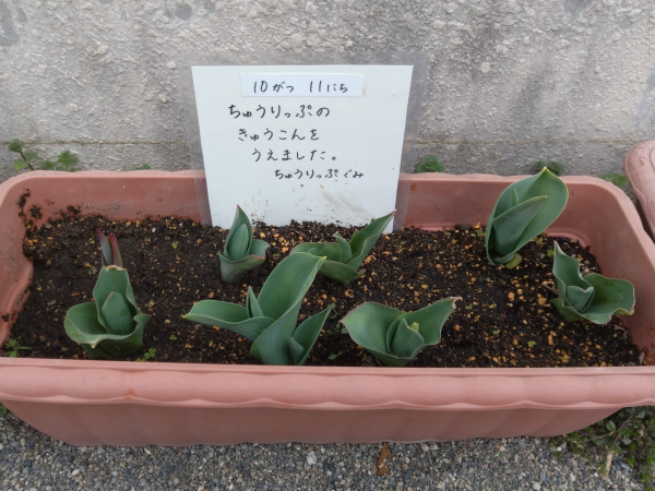 捨ててしまうものが大変身！！