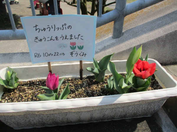 もうすぐ進級!みんな大きくなりました!