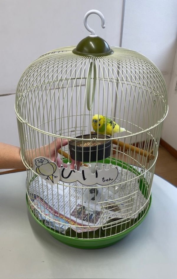 ぴいちゃんのお話