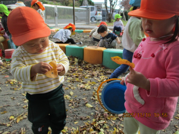 秋を見つけたよ！