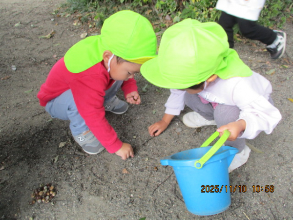 秋を見つけたよ！