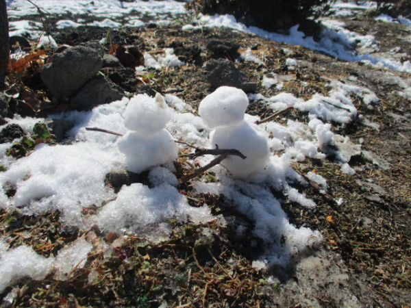 雪あそびをしました！