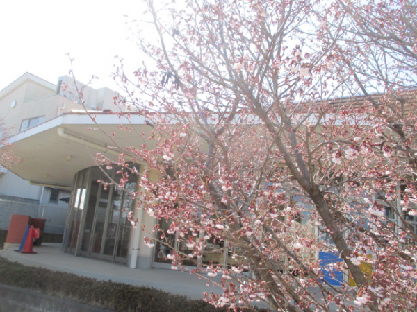 1年間ありがとうございました。