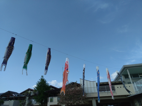 こいのぼり