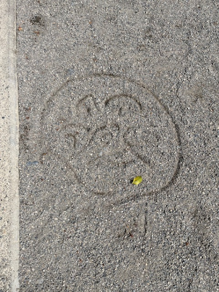 年長さんと年少さんでわんぱく広場へ行きました