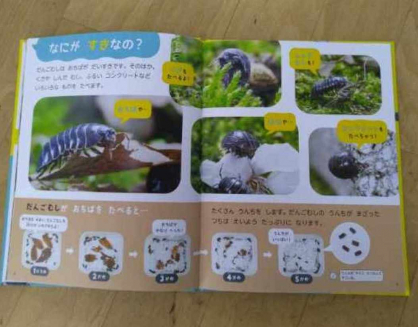 あたらしいおともだち☆